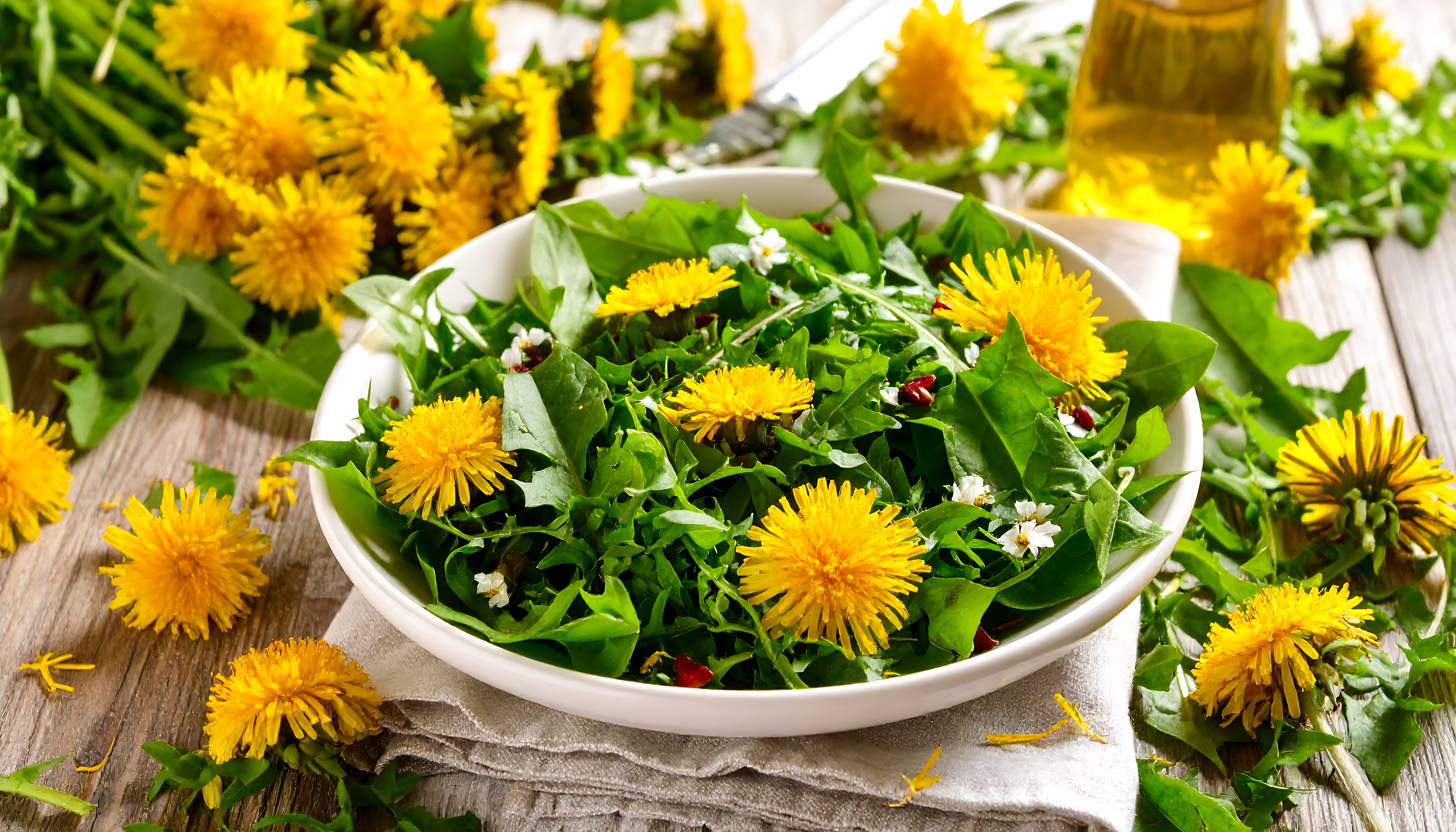 Gänseblümchen-Löwenzahn-Salat